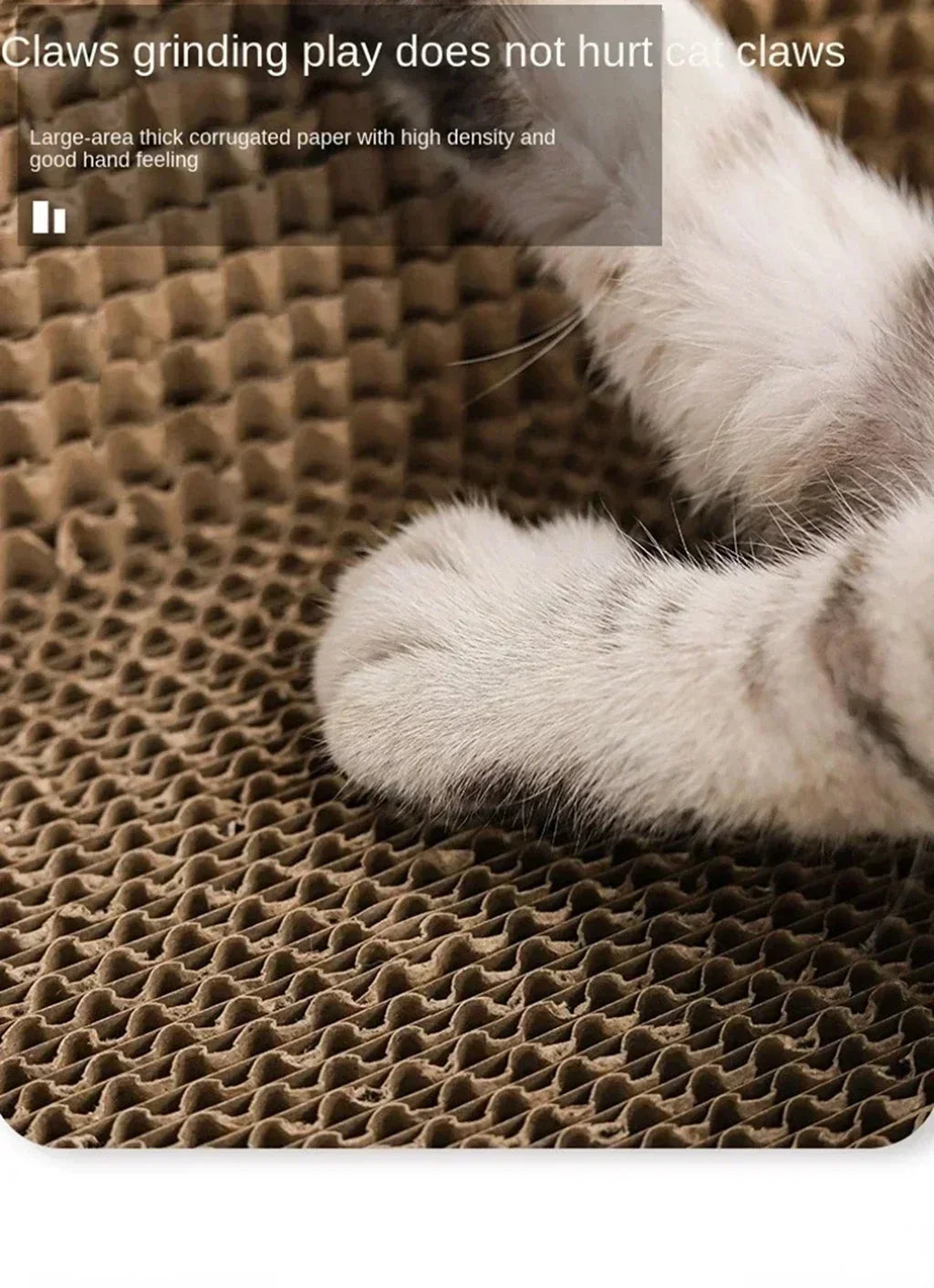 Interactive Cat Play Board with Puzzle Holes