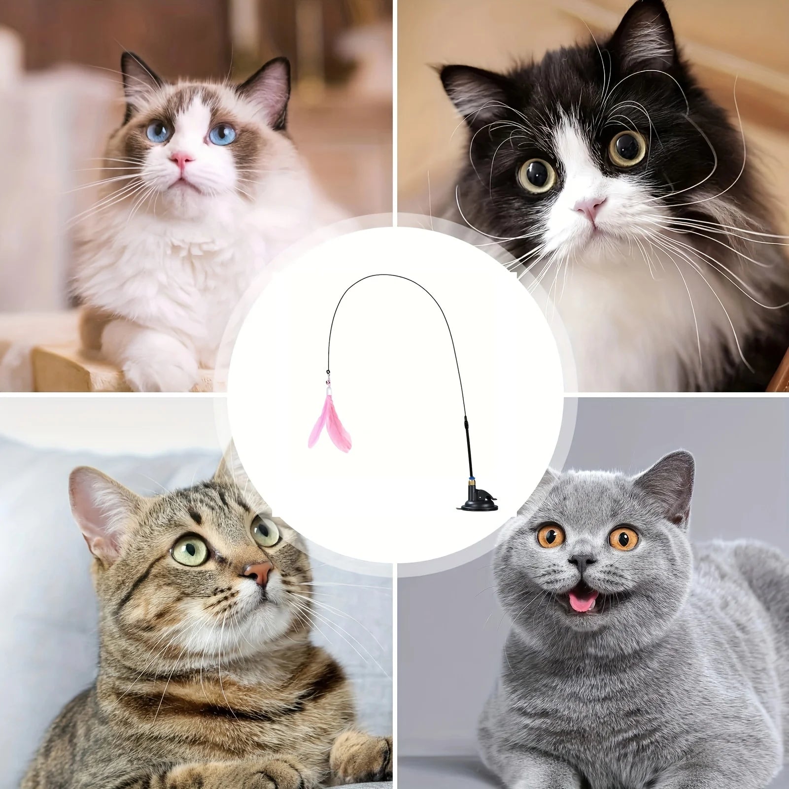 Interactive Feather Wand Cat Toy with Suction Cup Base