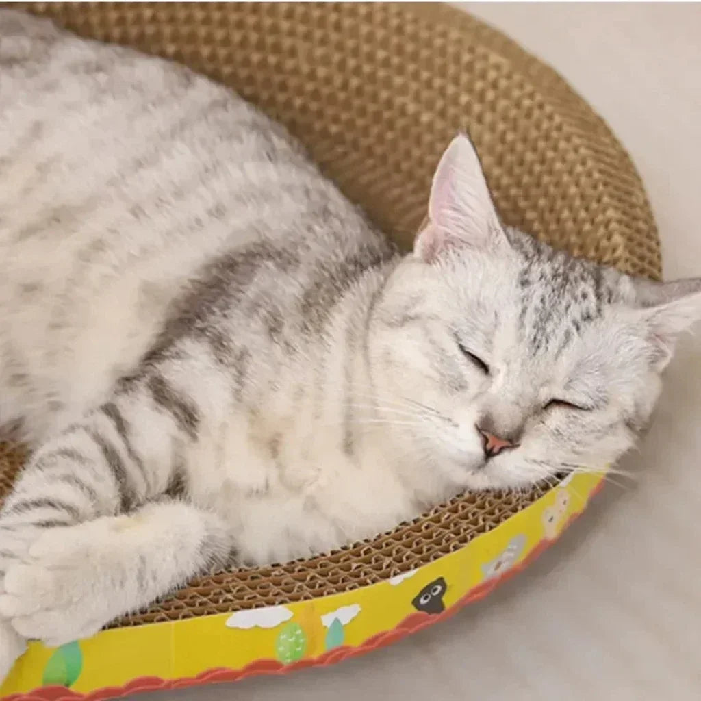Interactive Cat Play Board with Puzzle Holes